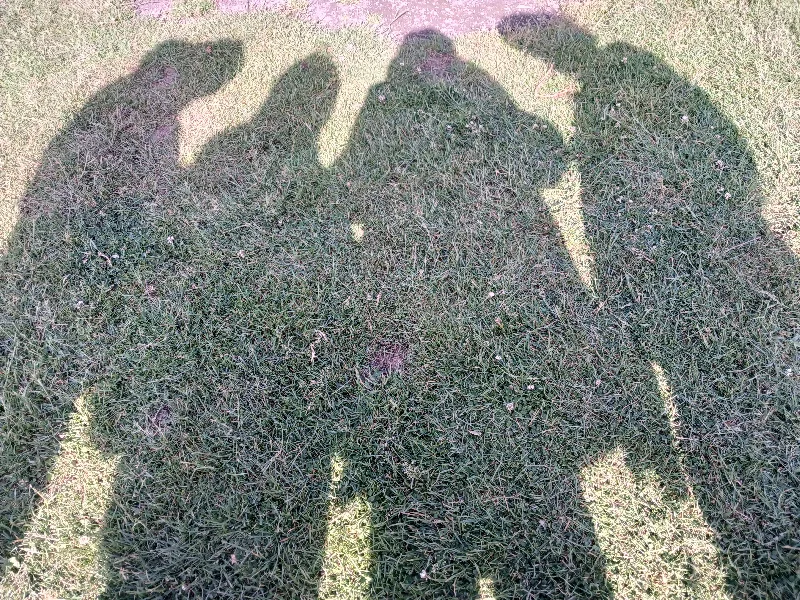 آواتار