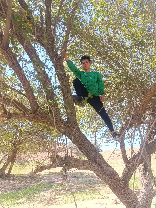 آواتار